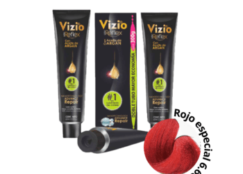 TINTE VIZIO ROJO PASION ESPECIAL 6.60